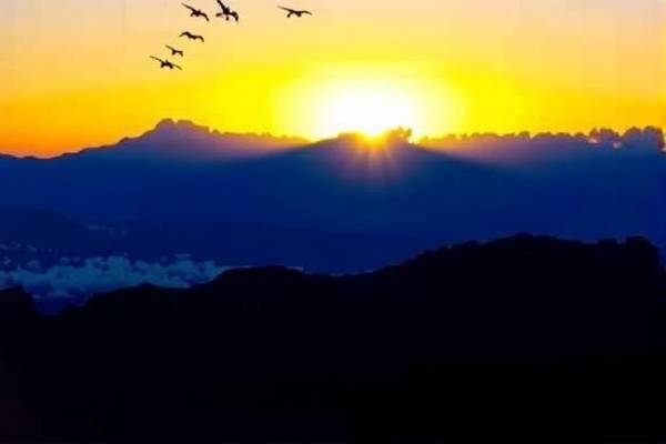 nba录像2005年总决赛,2005年nba总冠军决赛